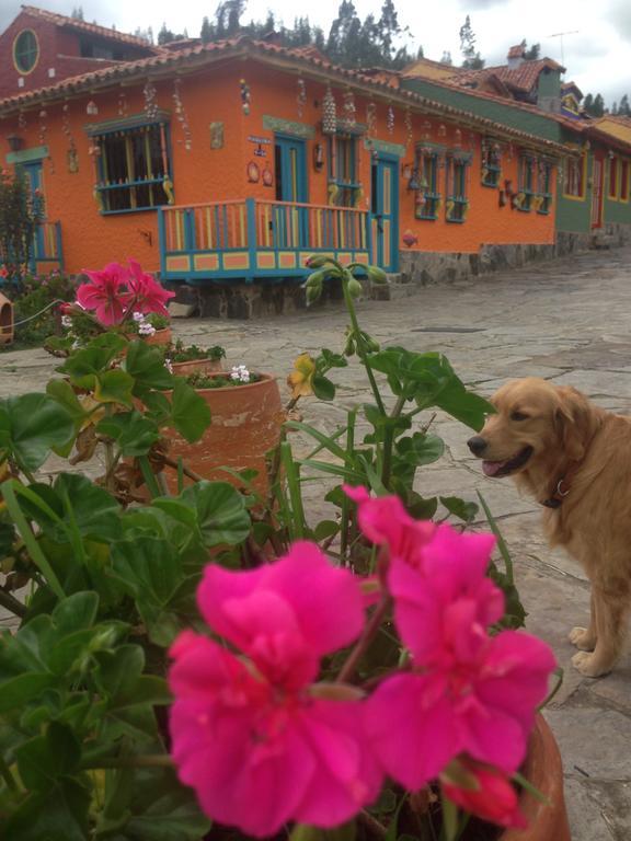 Casa Posada Maestro Carlos Aranguren ドゥイタマ エクステリア 写真